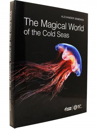 Nhe Magical World of the Cold Seas