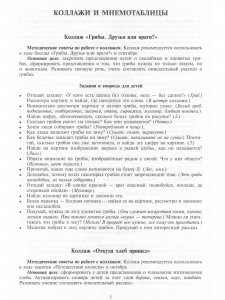 Добро пожаловать в экологию! Дидактический материал для работы с детьми 5-6 лет. Старшая группа. Коллажи, мнемотаблицы, модели, пиктограммы.ФГОС