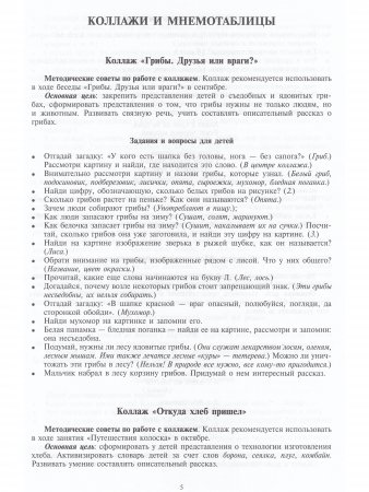 Добро пожаловать в экологию! Дидактический материал для работы с детьми 5-6 лет. Старшая группа. Коллажи, мнемотаблицы, модели, пиктограммы.ФГОС