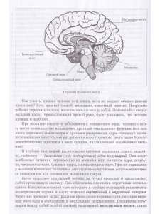 Неврологические нарушения у детей. Причины, профилактика, коррекция.