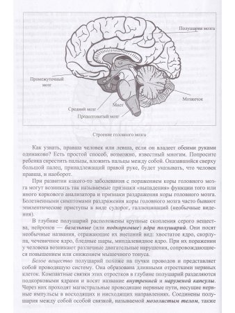 Неврологические нарушения у детей. Причины, профилактика, коррекция.