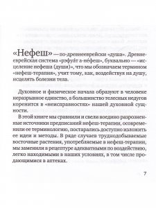 Нефеш-терапия. Библейская система исцеления