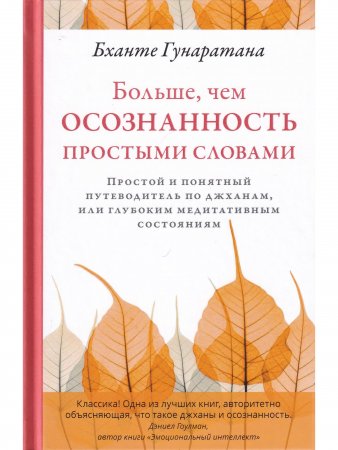Больше, чем осознанность простыми словами. Простой и понятный путеводитель по джханам