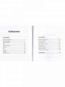 Человек мира. Путешествие как ремесло