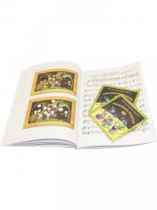Необыкновенные путешествия. С 2 компакт-дисками
