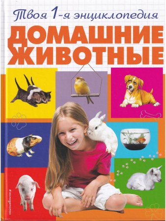 Домашние животные