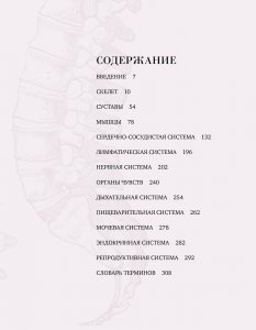 Анатомия  (с иллюстрациями из классической «Анатомии Грея»)