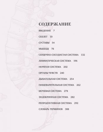 Анатомия  (с иллюстрациями из классической «Анатомии Грея»)