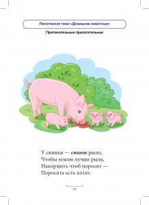 Блокнот логопеда. Секреты формирования грамматического строя речи. Относительные и притяжательные прилагательные. С 5 до 7 лет. Выпуск 8. ФГОС