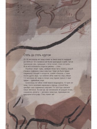 Степи, прерии, пампасы. Один год жизни исчезающего биома