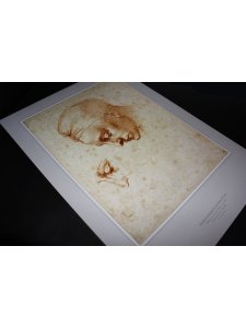 Образцы для копирования. Голова (листы 30х50см)