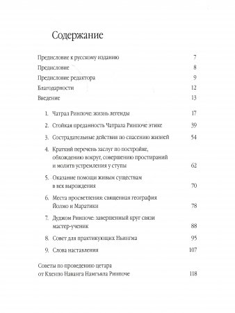 Сострадательная деятельность