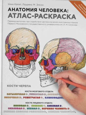 Анатомия человека: атлас-раскраска