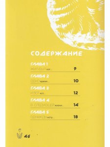 Котоморфозы