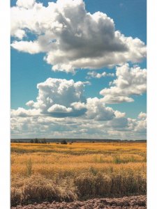 Книга Юрьев-Польский. Путеводитель