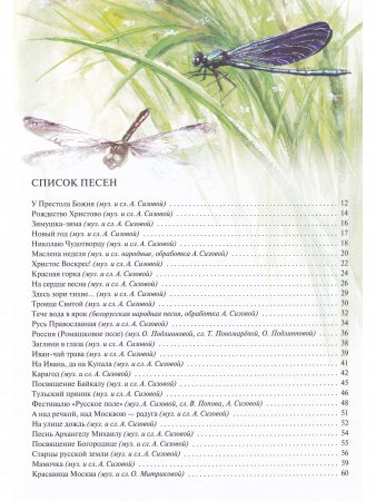 Русь Православная в стихах и песнях (+CD)