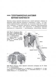 Однажды в шкафу