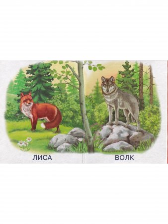 Книга Книжки-малышки. Комплект из 4 изданий: Потешки. Дождик-дождик. Лесные жиели. Заюшкина избушка