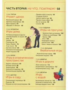 Книга Развивающие игры для собак