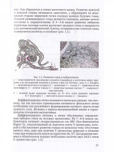 Книга Гинекология. Учебник для студентов медицинских вузов