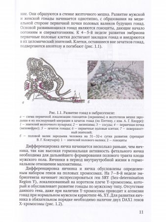 Гинекология. Учебник для студентов медицинских вузов