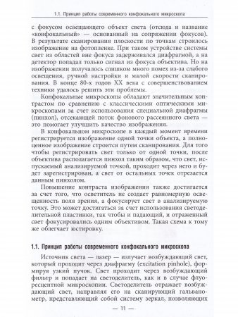 Молекулярная косметология. Сигнальные механизмы старения кожи, таргетная профилактика и терапия