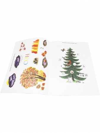 Книга Добро пожаловать в экологию! Дидактический материал для детей 4-5 лет. Средняя группа. Коллажи, мнемотаблицы, модели, пиктограммы.ФГОС