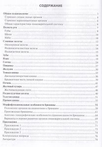 Функциональная анатомия органов пищеварительной системы (строение, кровоснабжение, иннервация, лимфо