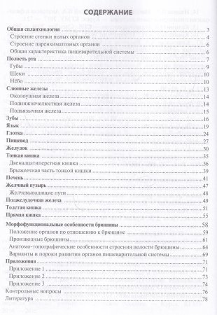 Функциональная анатомия органов пищеварительной системы (строение, кровоснабжение, иннервация, лимфо