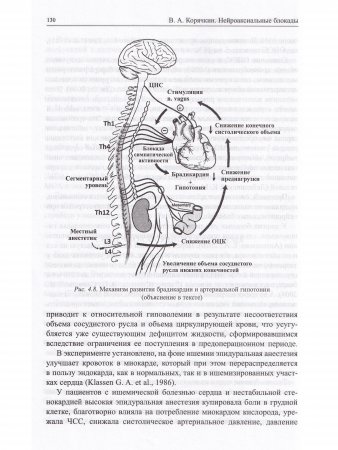 Нейроаксиальные блокады. 3-е издание.