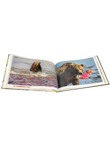 Палитра Природы. Альбом