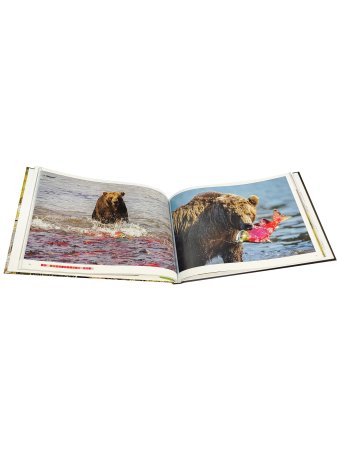 Палитра Природы. Альбом