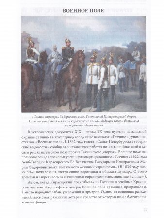Аэродромы на гатчинской земле. 1908–2016