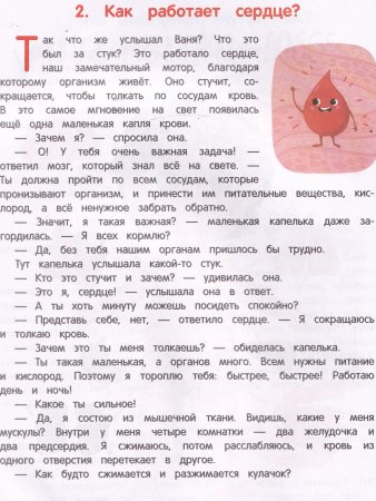 Как Устроен Человек