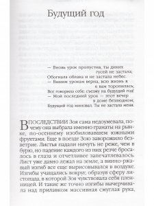 Будущий год
