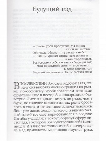 Будущий год
