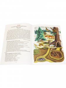 Добро пожаловать в экологию! 4-5 лет.Тетрадь-тренажер для работы с детьми. ФГОС