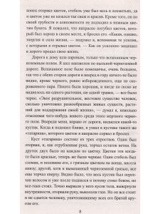 Хаджи-Мурат