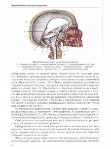 Церебральные венозные нарушения