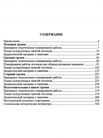 Современная система коррекционной работы в группе компенсирующей направленности для детей с нарушениями речи с 3 до 7 лет. ФГОС.
