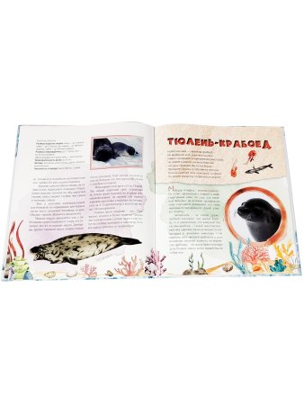 Тюлень Ластик и его друзья