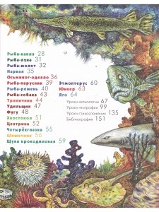 Азбука диковинных рыб: Для взрослых и детей.