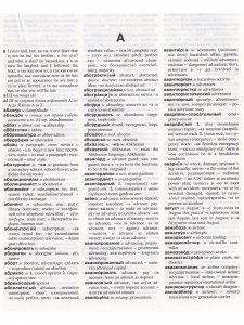 Новый Большой Русско-Английский словарь