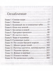 Похититель драконов 