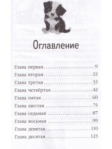 Снежное расследование