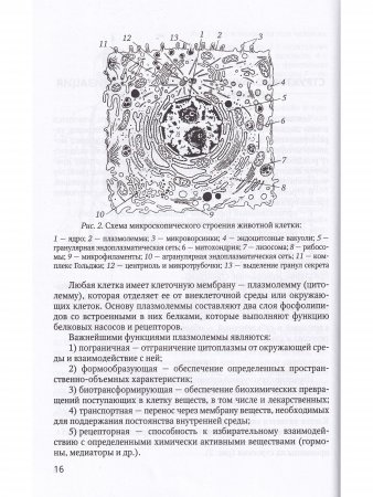 Основы медицинских знаний 4-е издание