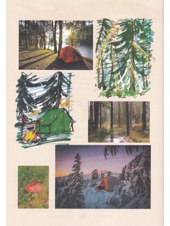 Книга Порядок на планете
