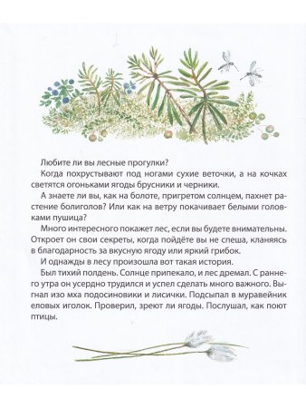 Самый маленький ежик.