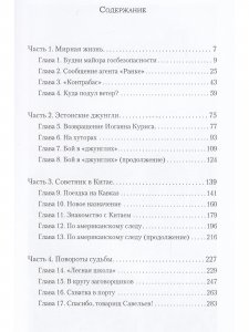 Ленинградское время. Том 2. Приключенческий  роман