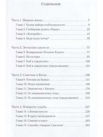 Ленинградское время. Том 2. Приключенческий  роман